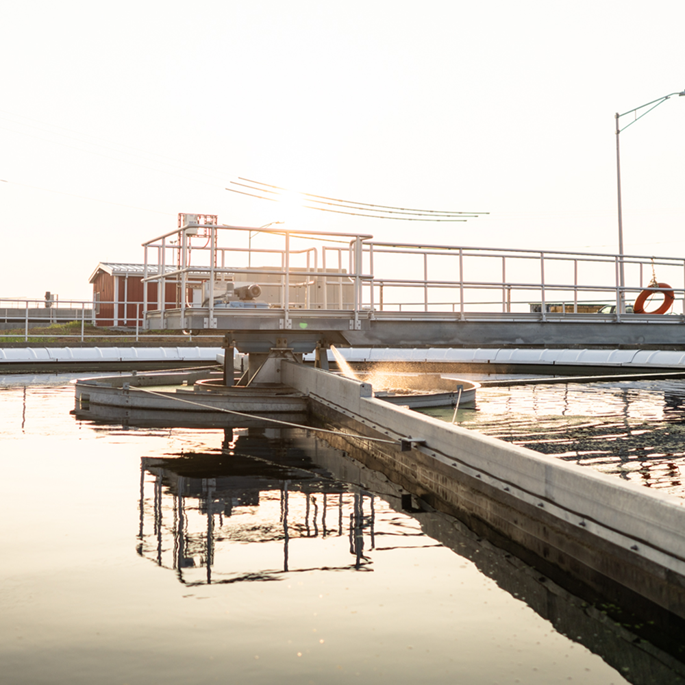 Plant at sunset with mechanical arm skimming water.