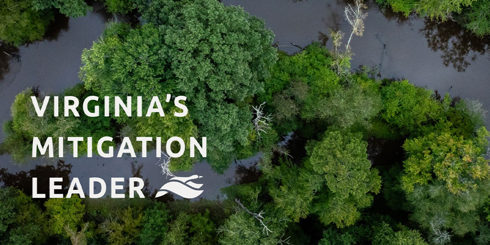 Aerial view of forested wetland, river, text, and logo.